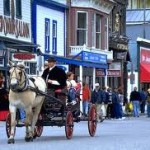 horse carriage